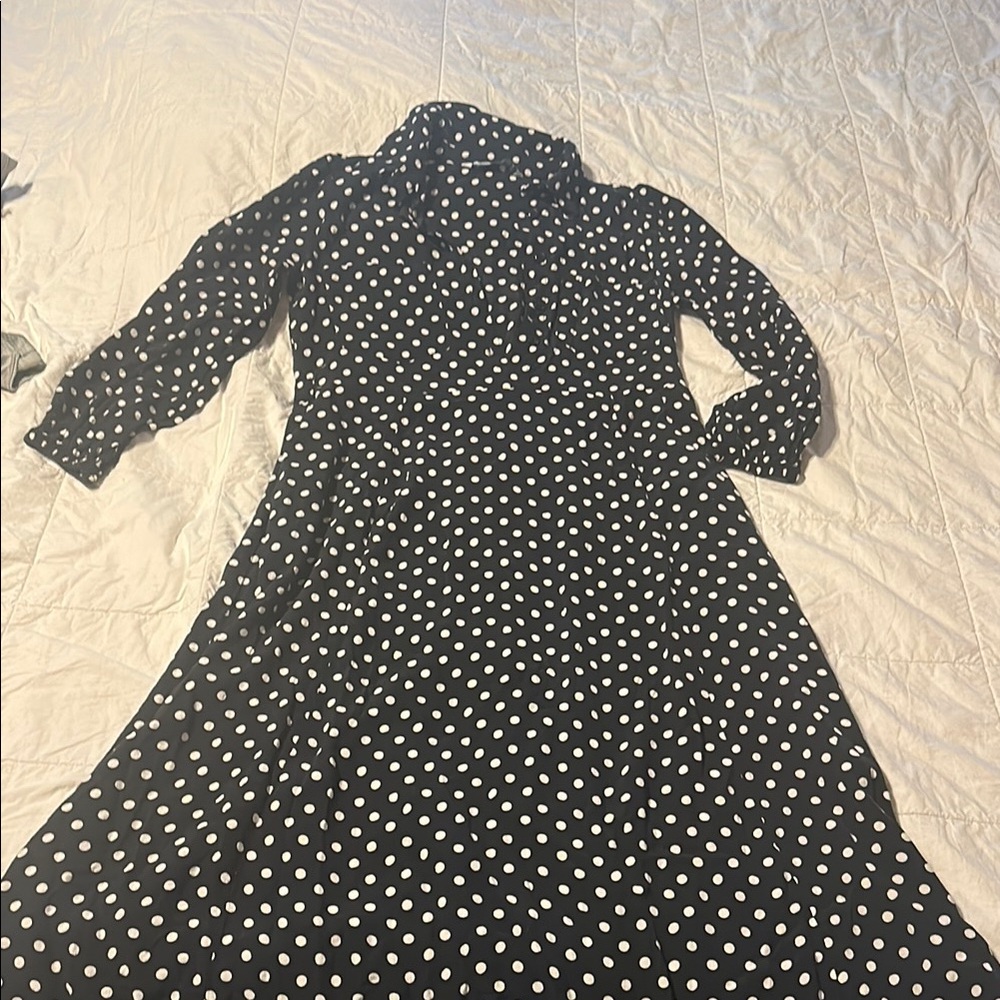 Zara Black and White Polka Dot Long Sleeve Dress